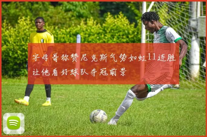字母哥称赞尼克斯气势如虹11连胜让他看好球队夺冠前景